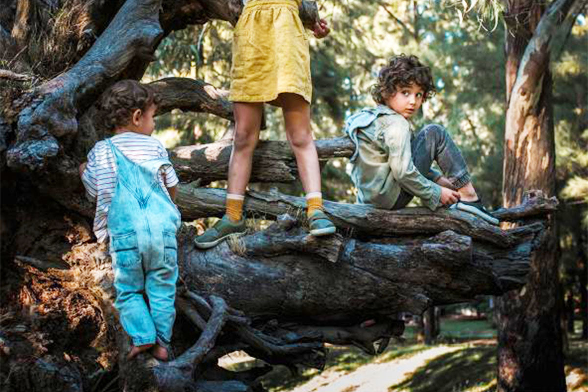 VivoKidsは高すぎる?