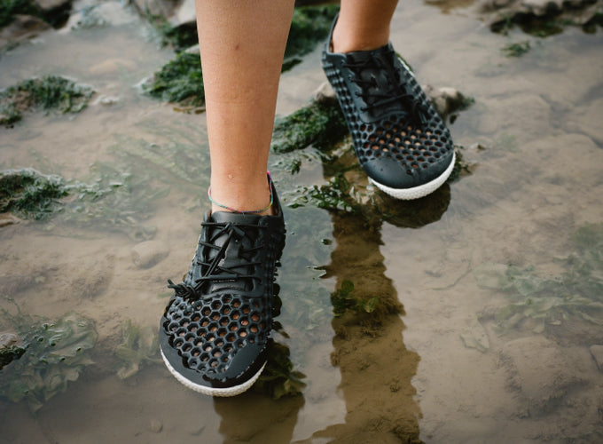 有害有毒藻類ブルーム(HABs)を減らすために、いま私たちにできること