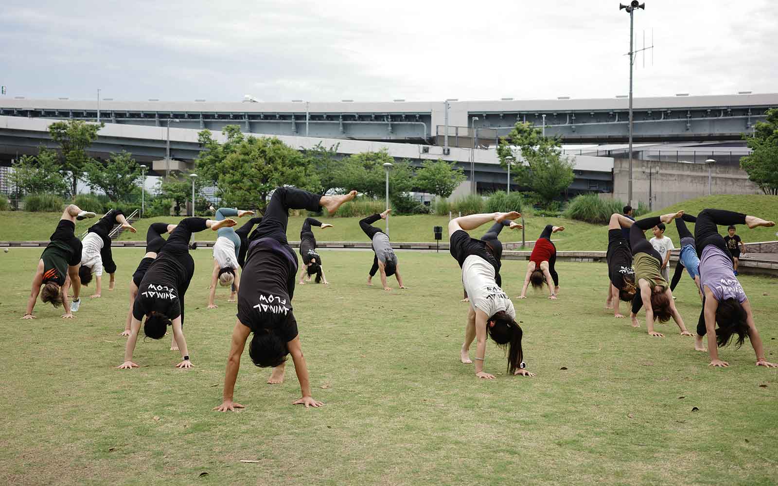 【活動レポート】ANIMAL FLOW JAPAN JAM 2025からスポーツコミュニティへ広がるベアフットの重要性