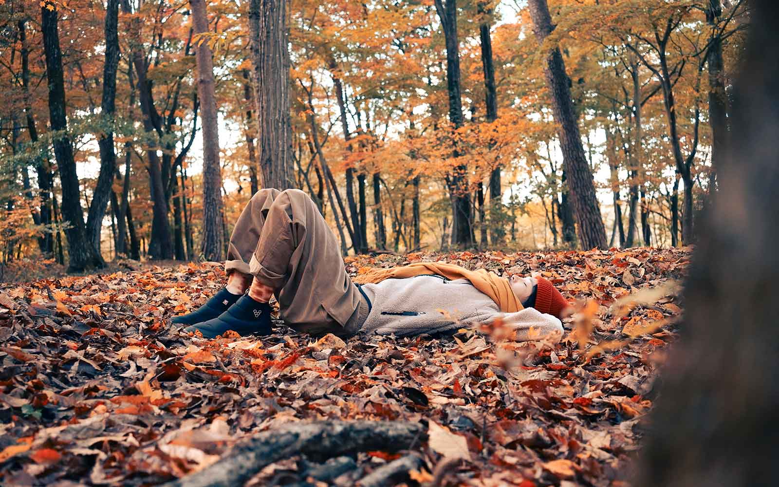 公式オンラインストア　冬季休業のお知らせ