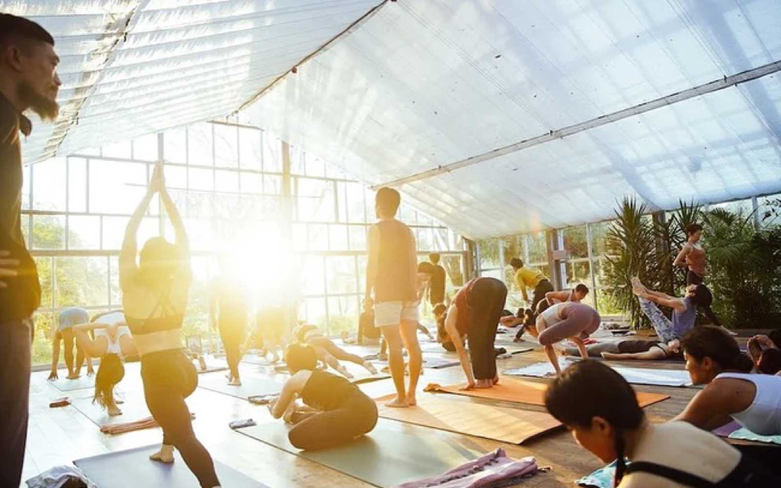 【活動レポート】Japan Ashtanga Yoga Gathering 2023 in 宮崎