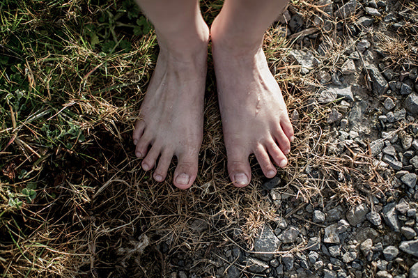 アクティブな足はアクティブな脳をつくる