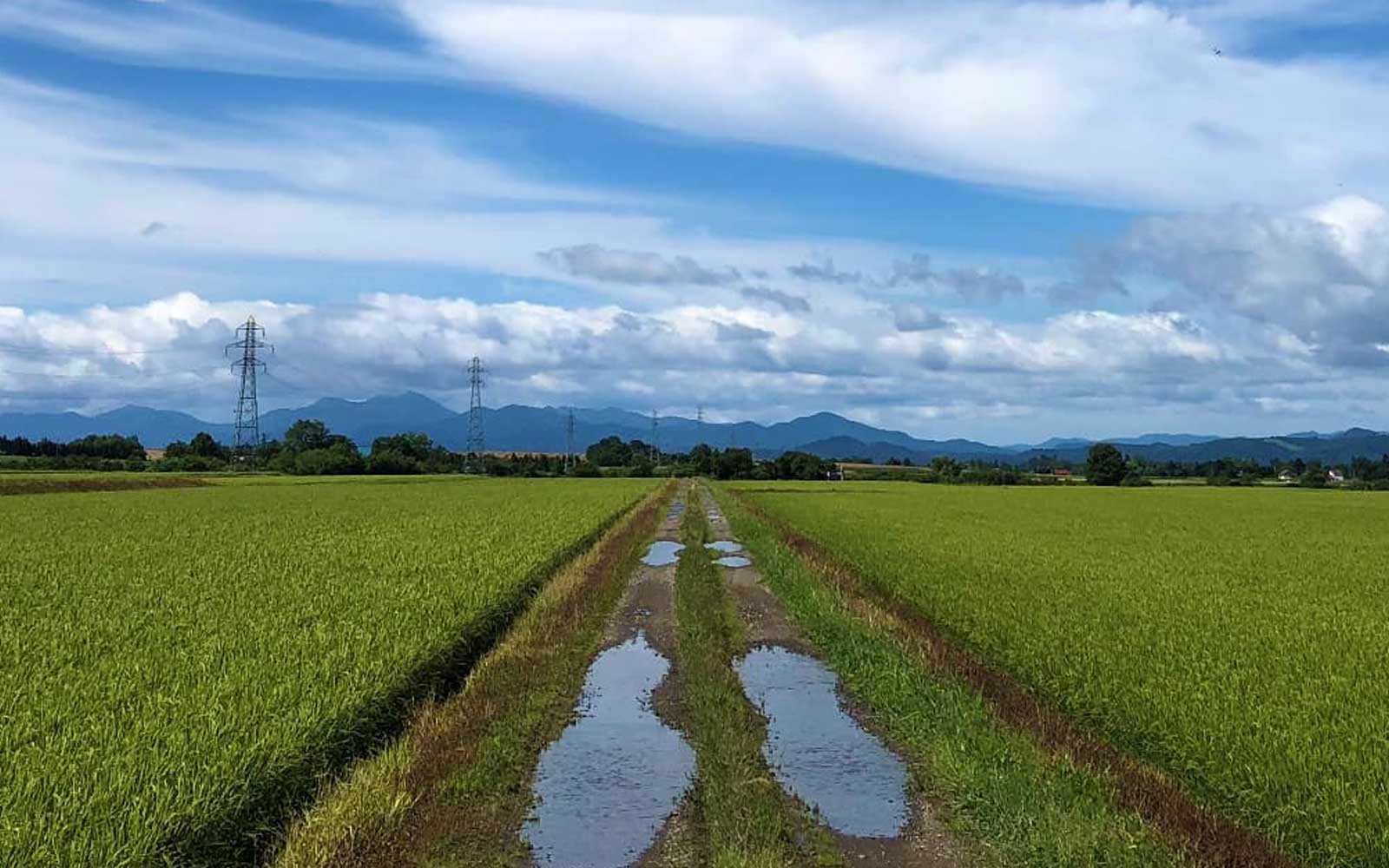 Back to Barefoot Journey vol.41