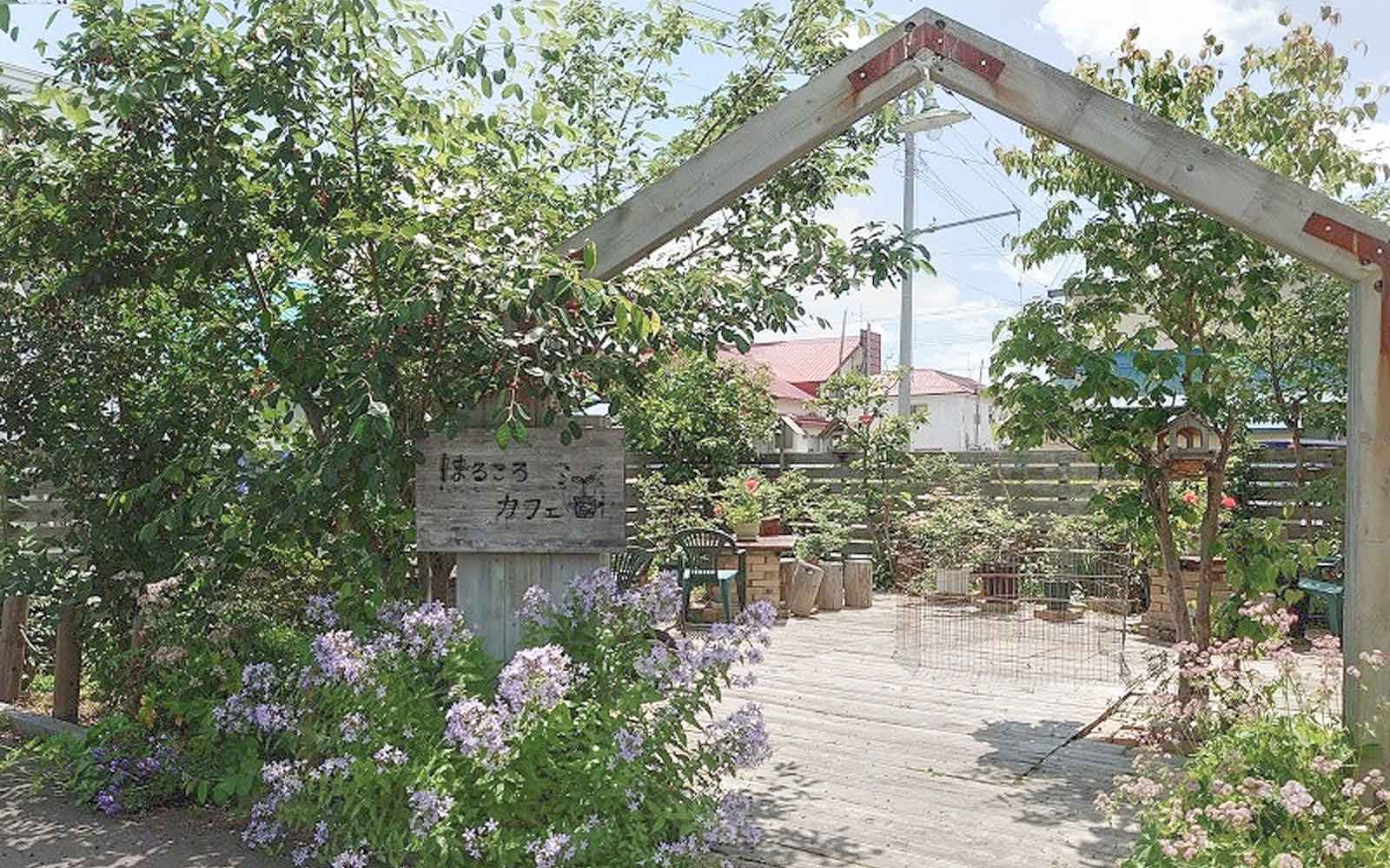 BACK TO BAREFOOT JOURNEY VOL.46