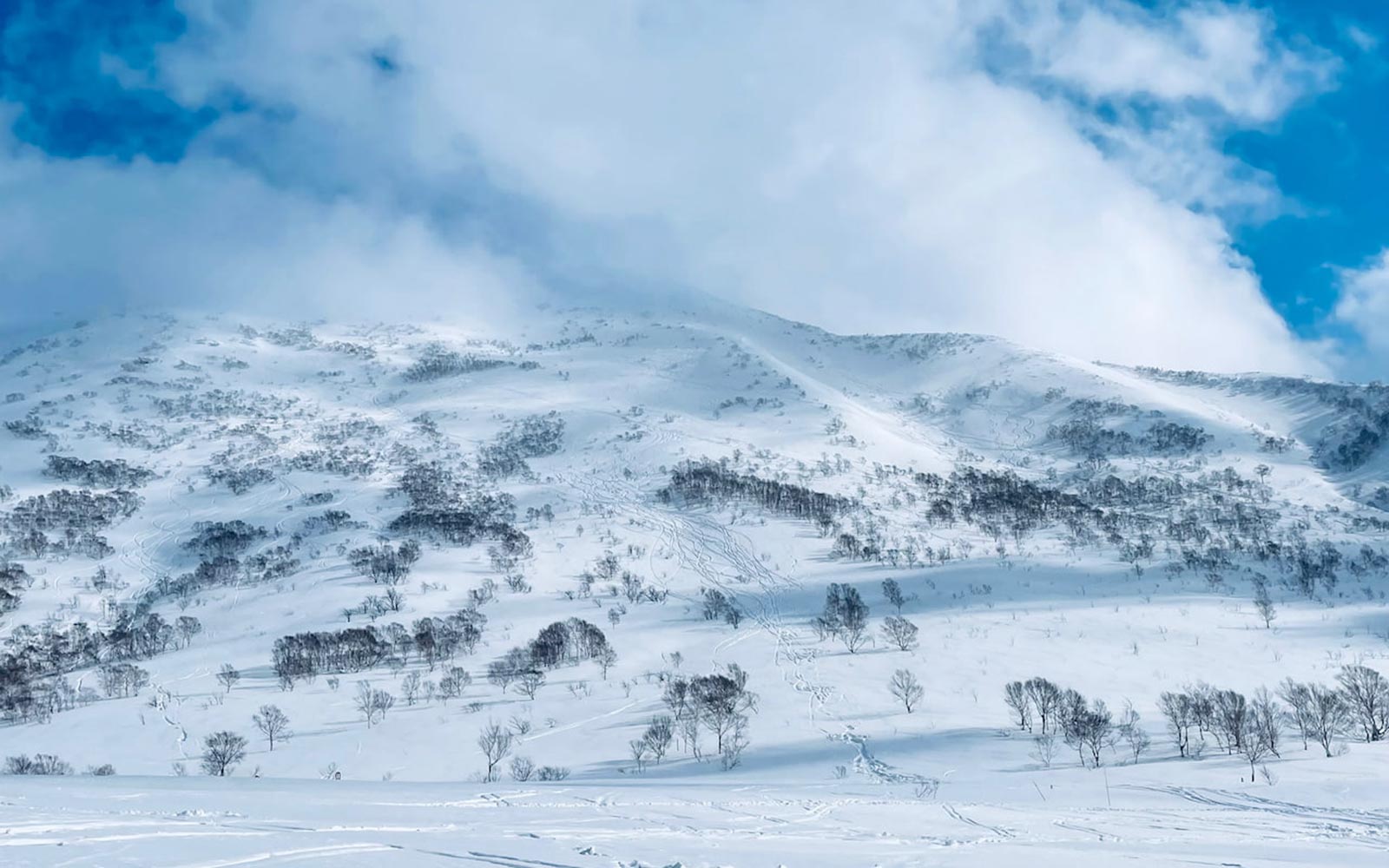 【Store Blog】北海道雪板TRIP vol.3