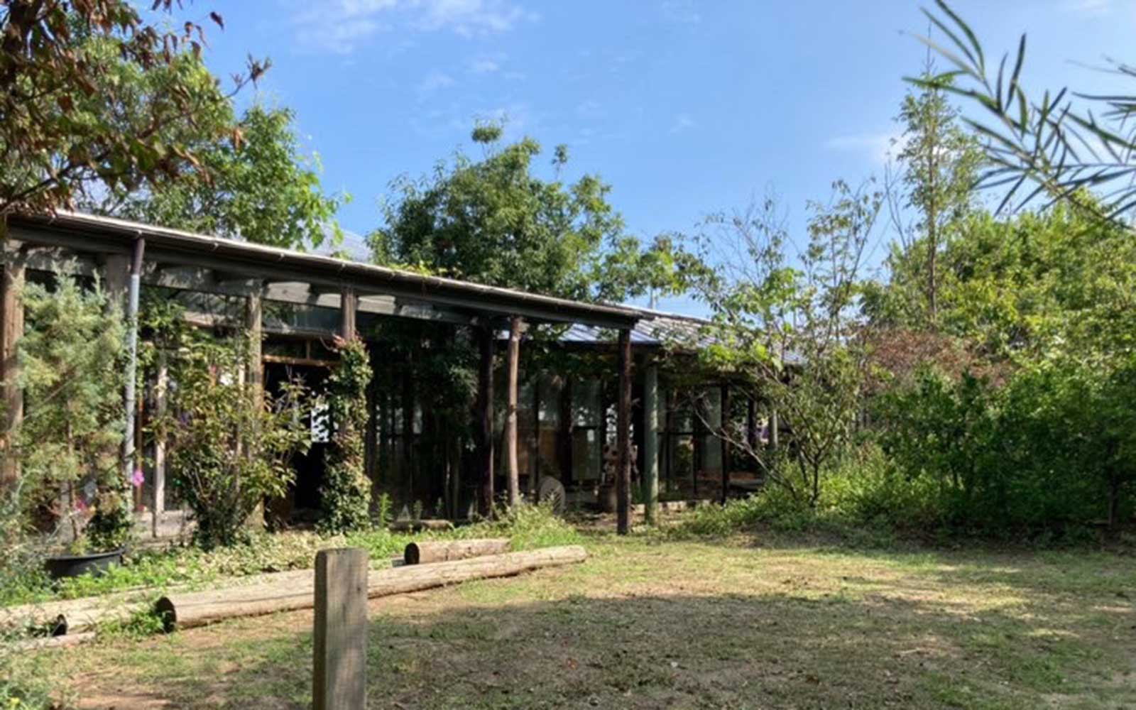 Back to Barefoot Journey vol.45