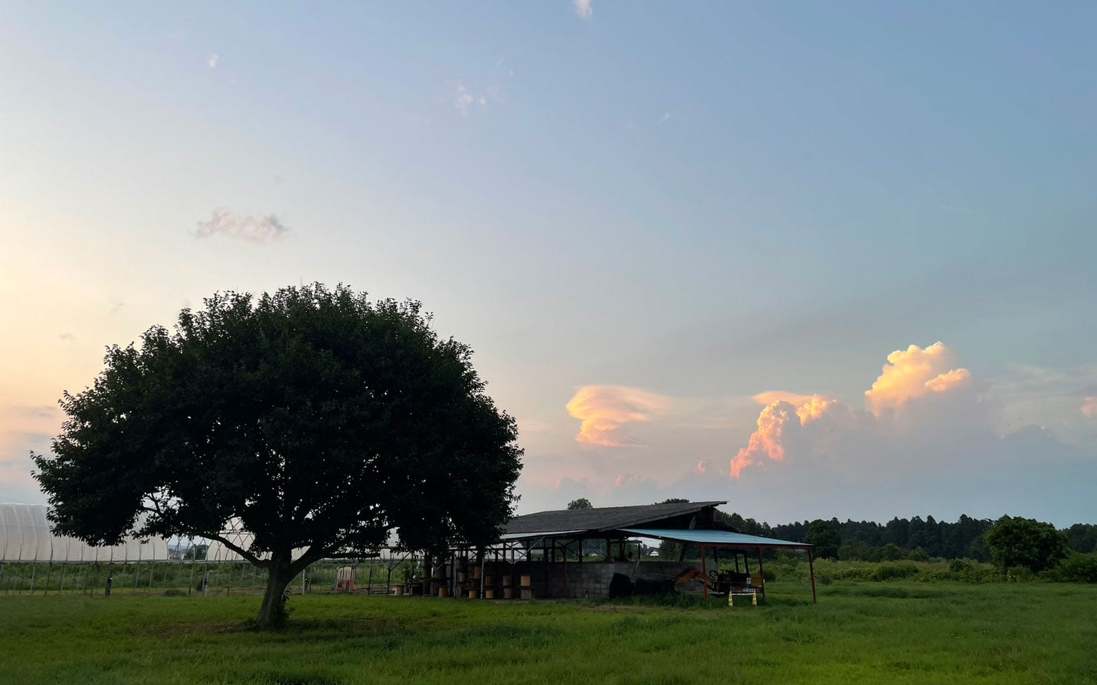 Back to Barefoot Journey vol.80 @水戸 