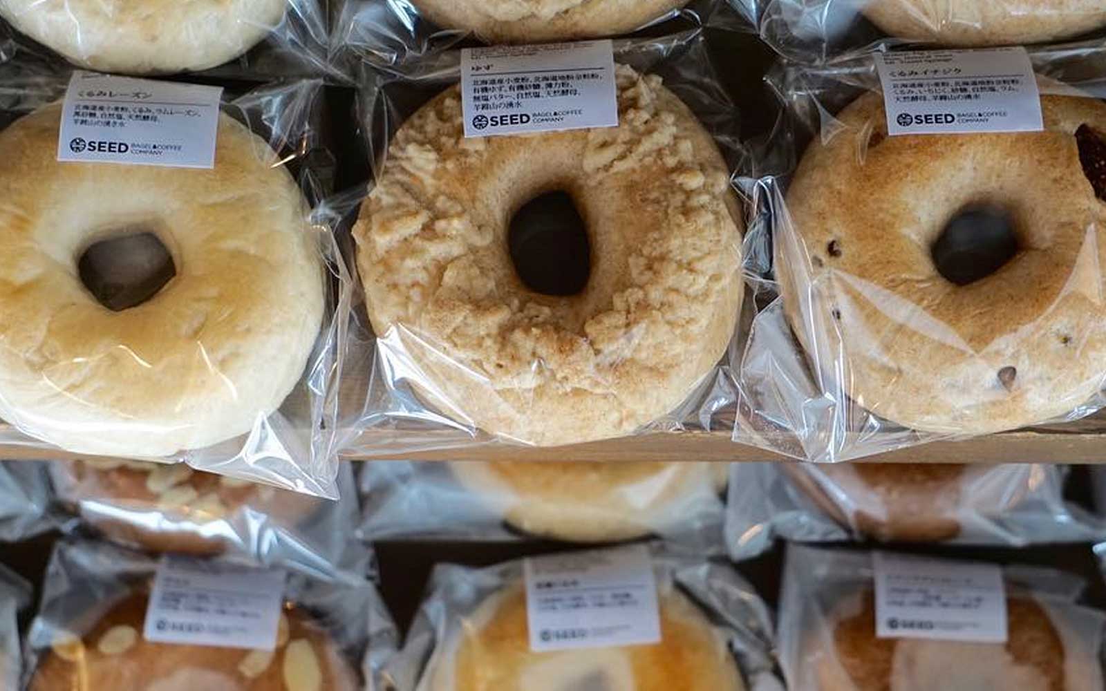 BACK TO BAREFOOT JOURNEY VOL.57 @北海道ニセコ