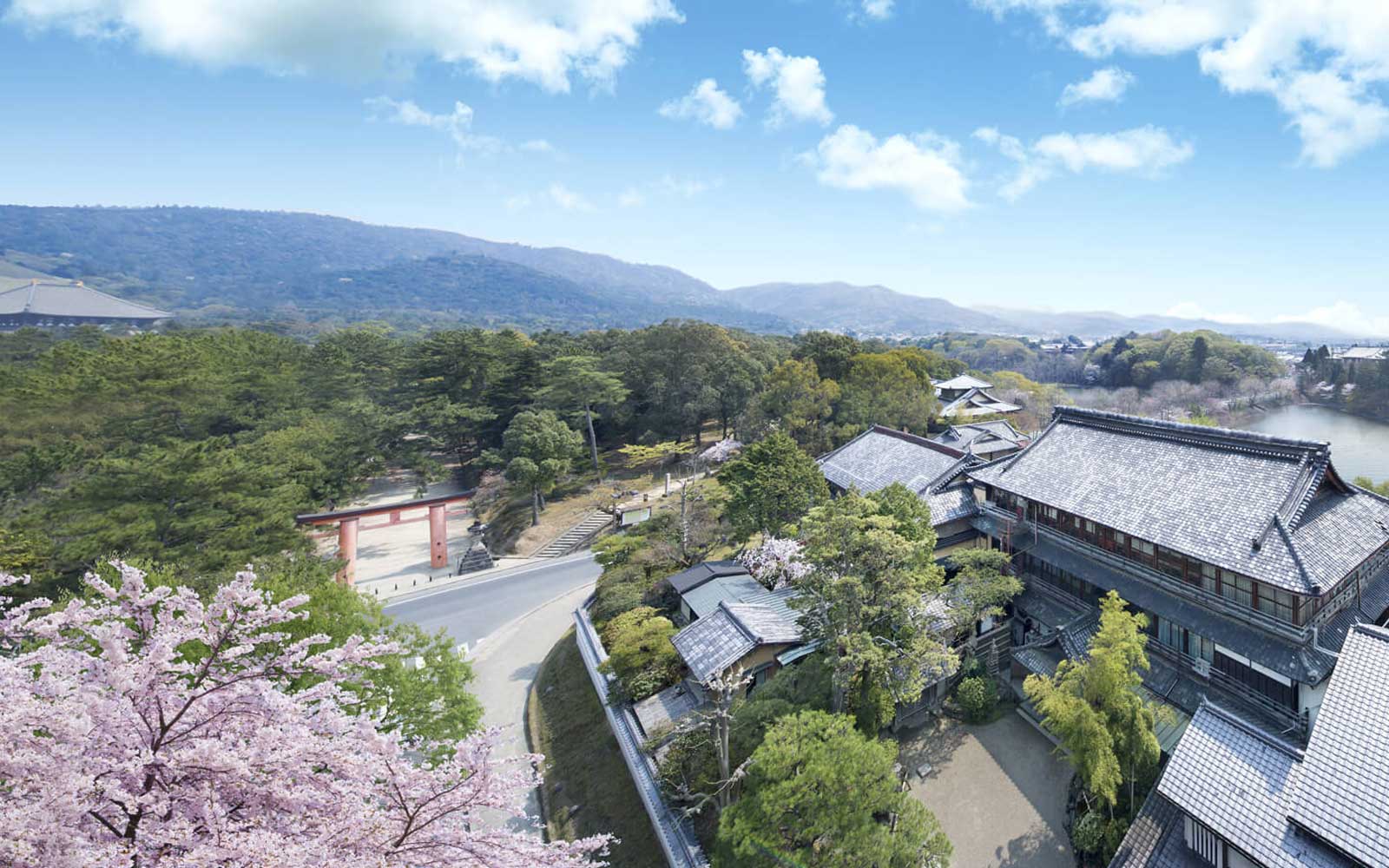 Back to Barefoot Journey vol.44