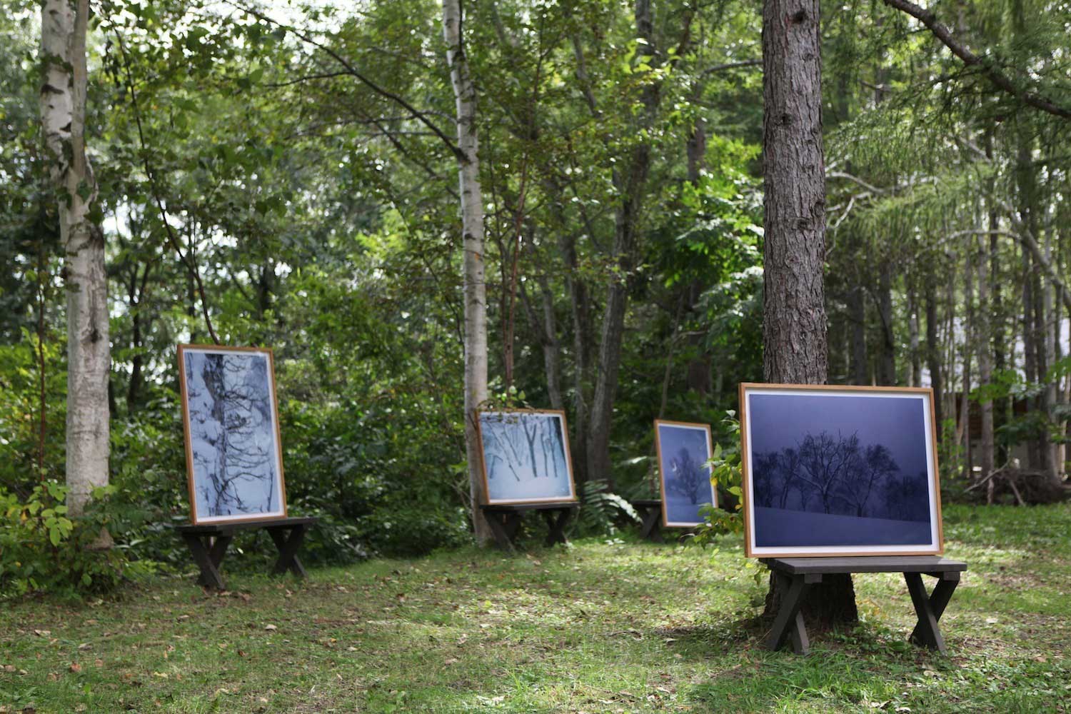 Back to Barefoot Journey vol.42