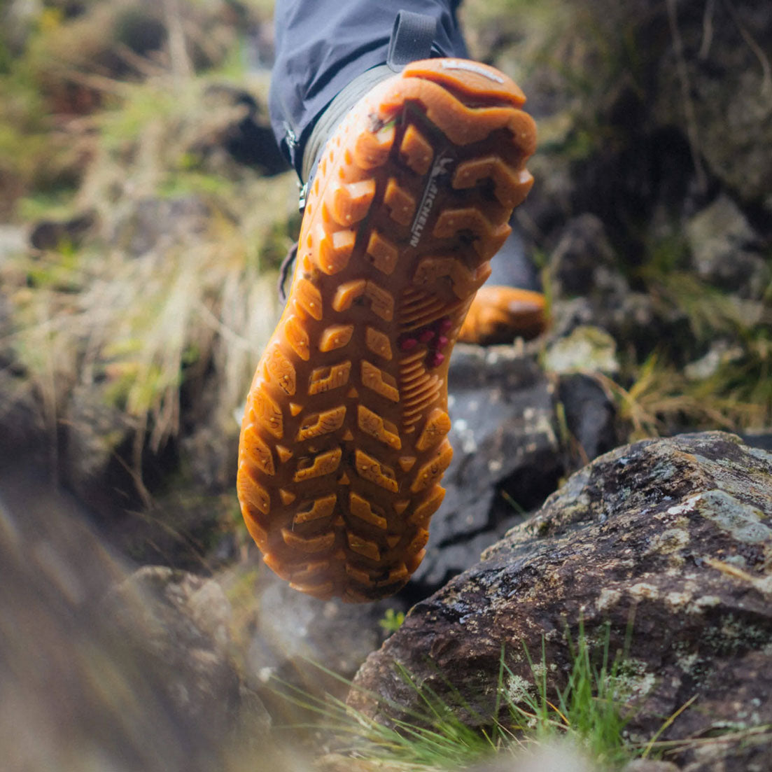 ハイカーズデポVivobarefoot トラッカーフォレスト ESC メンズ 41