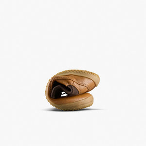 ACORN