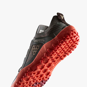 OBSIDIAN/CHERRY TOMATO