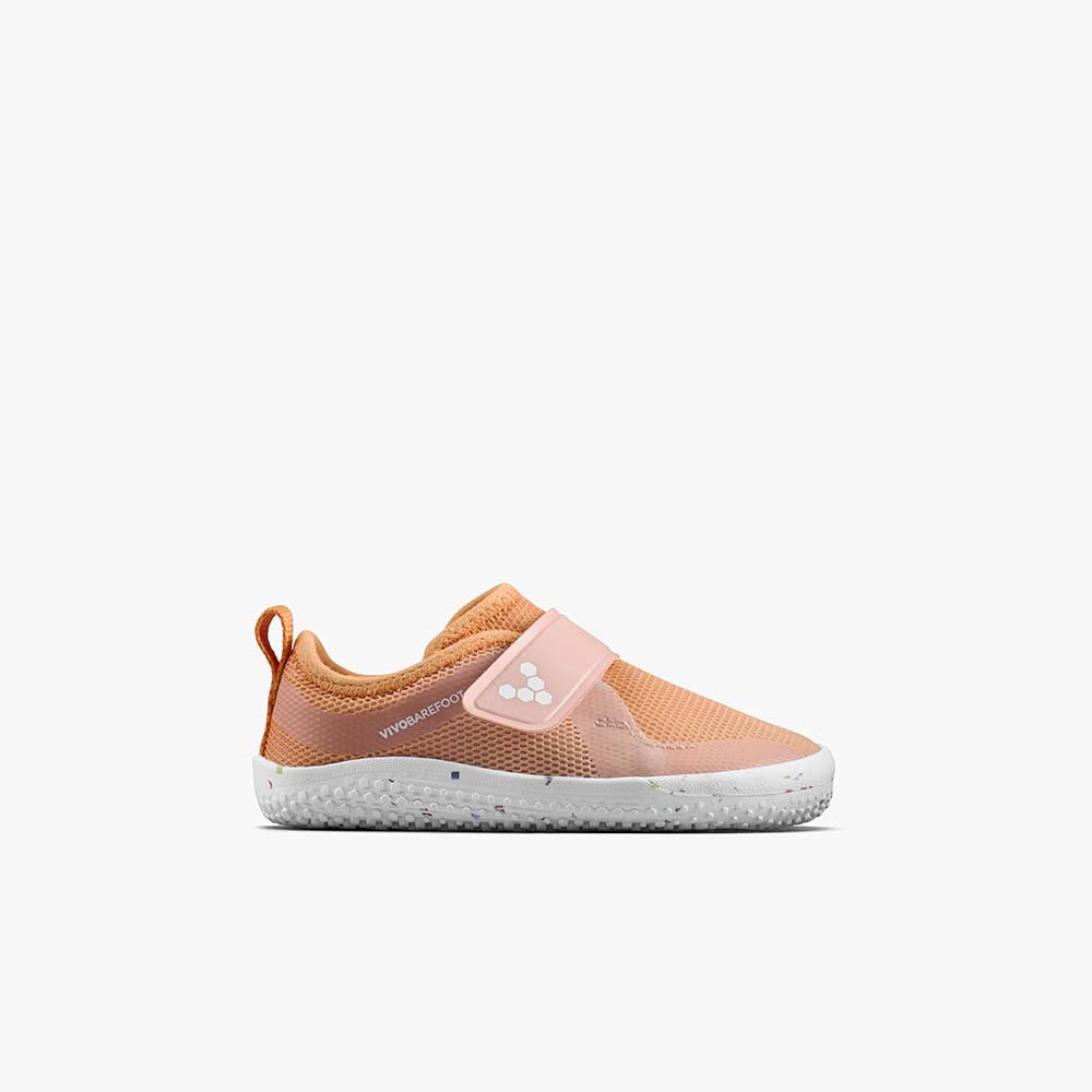 APRICOT