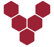 logo of Vivobarefoot Japan OFFICIAL