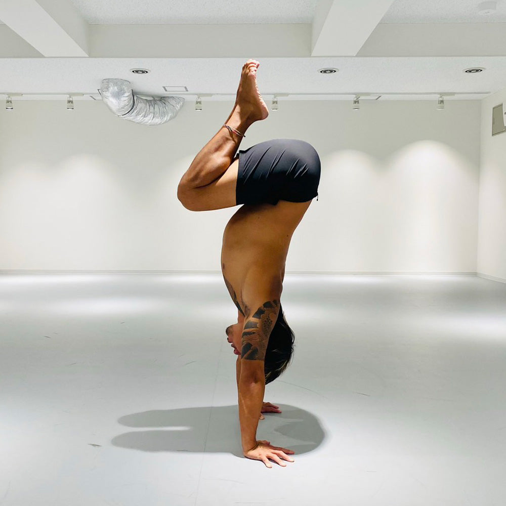 ヨシカワ ナオミさん専用 3Dセンサー搭載歩数計 FB-741-HY 花とゆめ50周年モデル（暁の