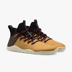 TAN/ACORN